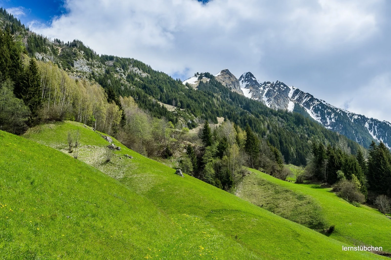 Zillertal.jpeg